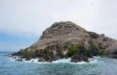 View of rock formation in sea against sky