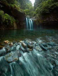 Scenic view of waterfall in forest