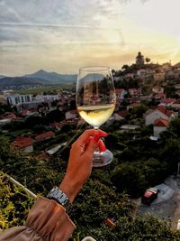 Cropped hand of woman holding wineglass