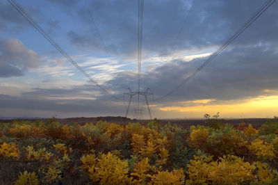 Scenic view of field against sky during sunset