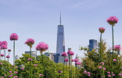 View of the world trade center from jersey city with spring flowers in bloom