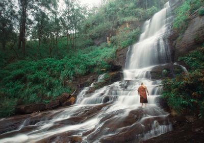 Rear view of monk standing at waterfall in forest