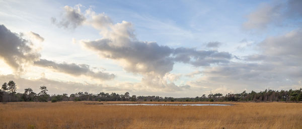 Panoramic view of field against sky