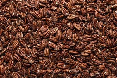 Pile of pecans, full-frame image, directly above. pecan nuts background. multitude of mexican nuts.