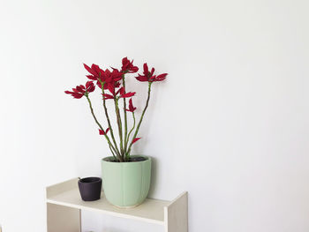 Flower vase against white wall