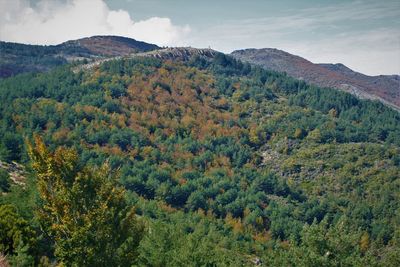 High angle view of trees on mountain against sky