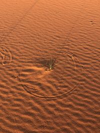 High angle view of small sand dune