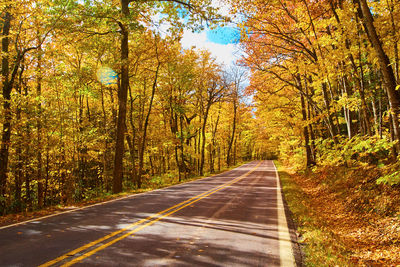 Road amidst trees in forest during autumn