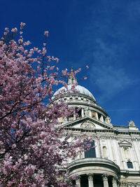 Low angle view of cherry blossoms by building against sky