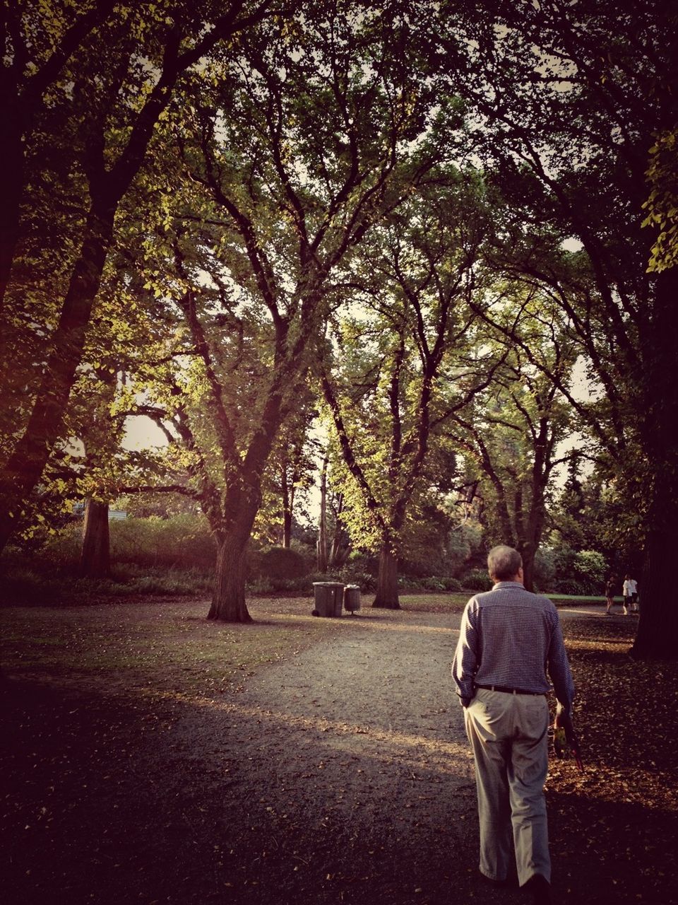 tree, lifestyles, rear view, leisure activity, full length, walking, standing, men, casual clothing, branch, person, growth, nature, tranquility, park - man made space, the way forward, day, outdoors