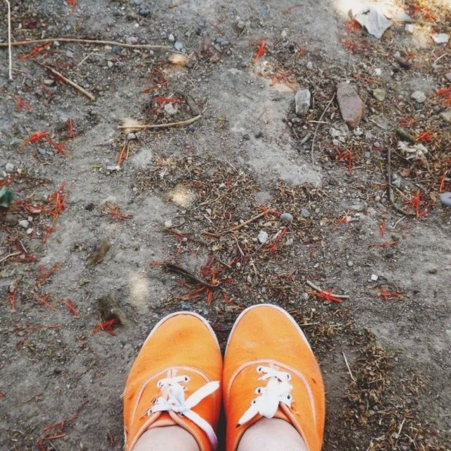 low section, shoe, person, high angle view, personal perspective, street, standing, footwear, human foot, autumn, leaf, outdoors, unrecognizable person, road, day, part of, lifestyles