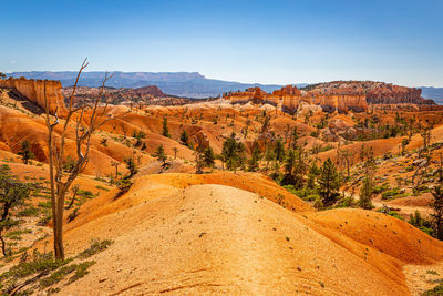 Scenic view of desert against sky