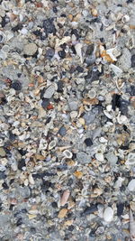 High angle view of dry leaves on pebbles