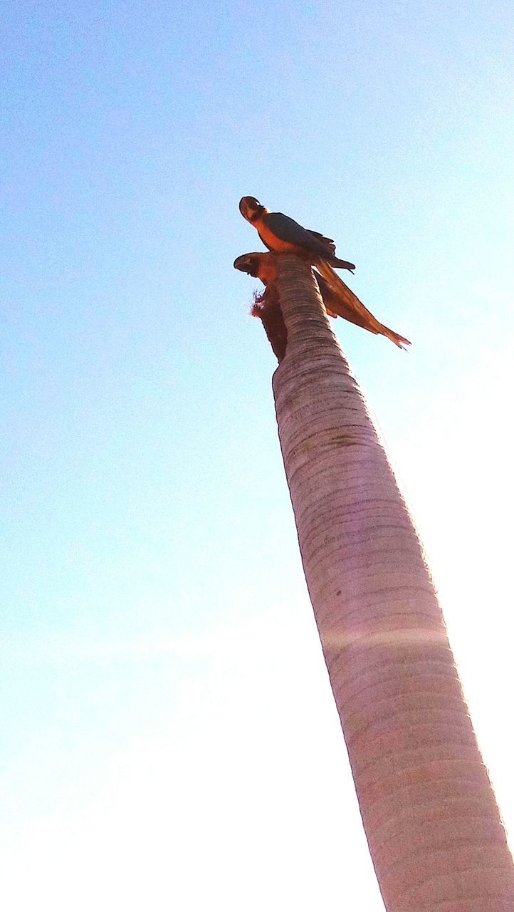 clear sky, low angle view, built structure, copy space, architecture, famous place, travel, history, travel destinations, international landmark, tourism, tall - high, building exterior, religion, day, monument, tower, outdoors, no people, sky