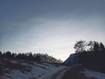 Road amidst trees against sky during winter