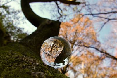 Low angle view of crystal ball