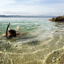 Bird swimming in sea against sky