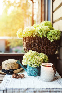 Close-up of potted plant in basket on table