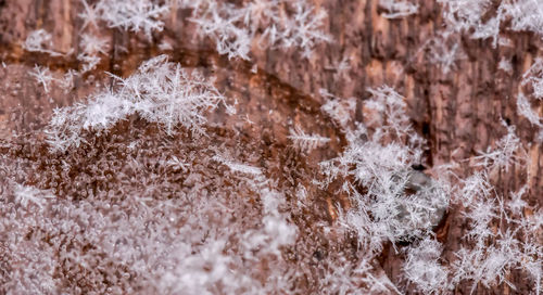 Full frame shot of water