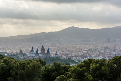 High angle view of trees and buildings in city