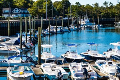 Boats moored at harbor