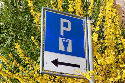 Close-up of road sign against trees