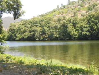 Scenic view of lake by trees against sky