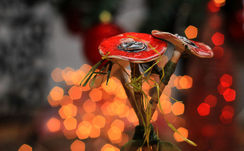 Close-up of illuminated christmas decoration