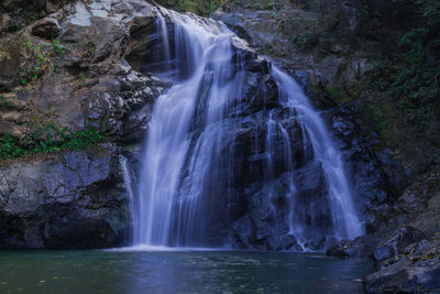 Scenic view of waterfall in forest