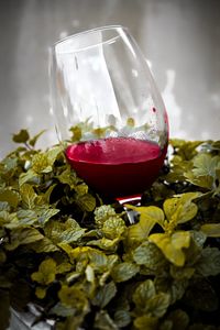 Close-up of red rose in glass