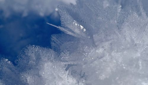 Close-up of snow