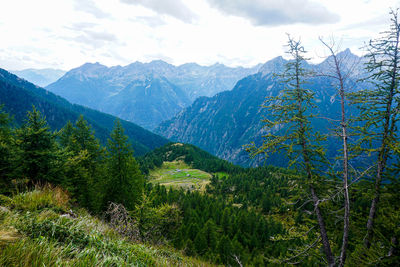 View from corte della sassina to the corte di mognola in the val lavizzara, ticino, switzerland