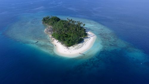 High angle view of trees by sea