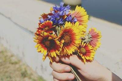 Close-up of hand holding yellow flower