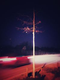 Illuminated trees against sky at night