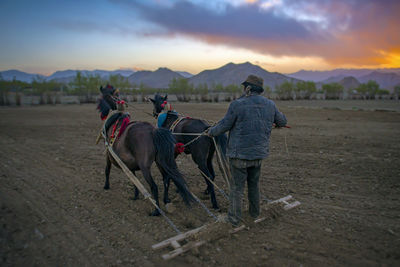 Rear view of people riding horse on field against sky during sunset