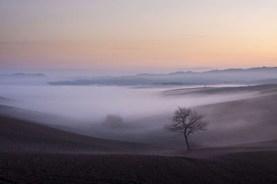 Scenic view of landscape against sky during sunset