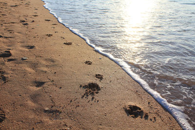 High angle view of beach