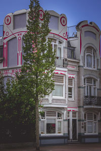 Low angle view of tree by building against sky