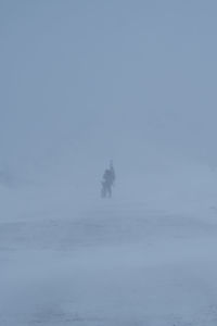 People on snow covered land against sky