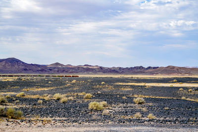 Scenic view of desert against sky