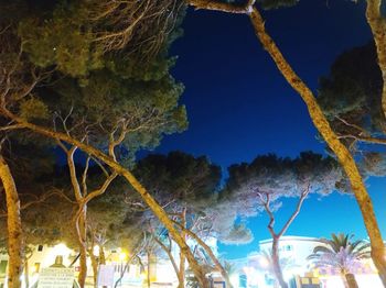 Low angle view of trees against sky at night