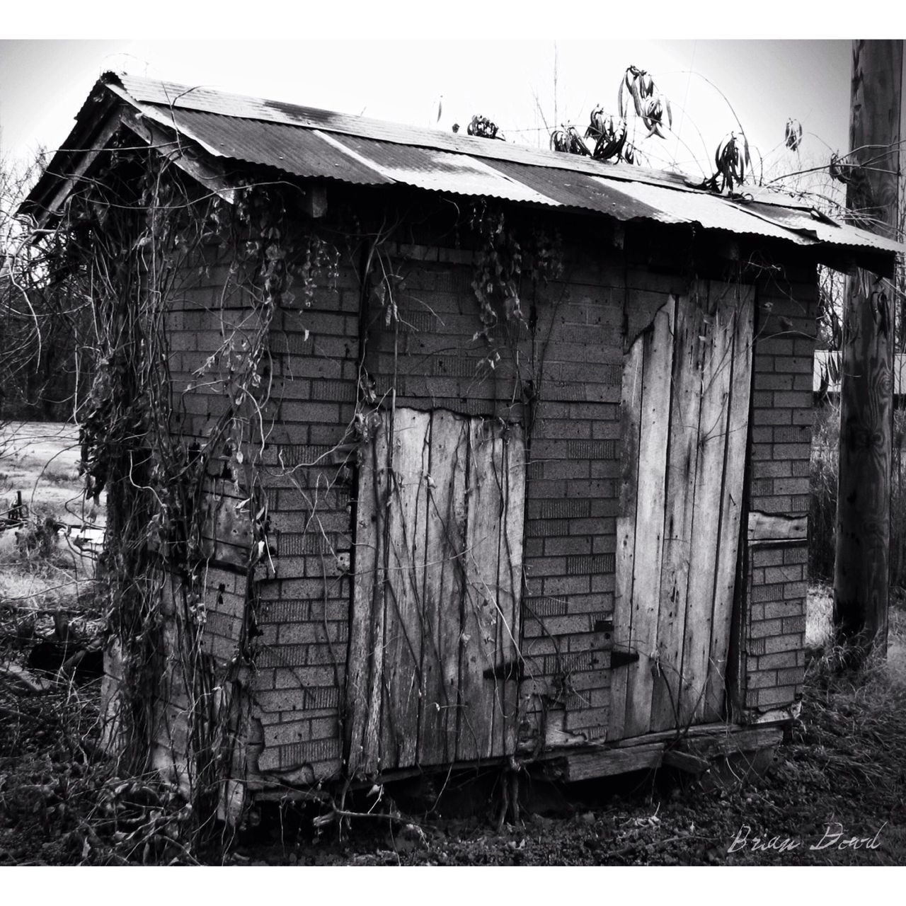 built structure, architecture, building exterior, house, abandoned, wood - material, old, obsolete, damaged, weathered, run-down, door, deterioration, fence, wooden, day, closed, sky, residential structure, wood