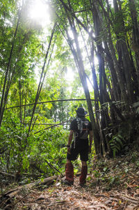 Man walking in forest