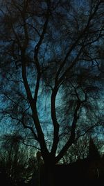 Low angle view of bare trees against sky