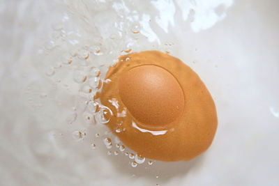 Close-up of egg in water