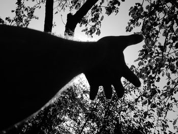 Low angle view of silhouette cat on tree