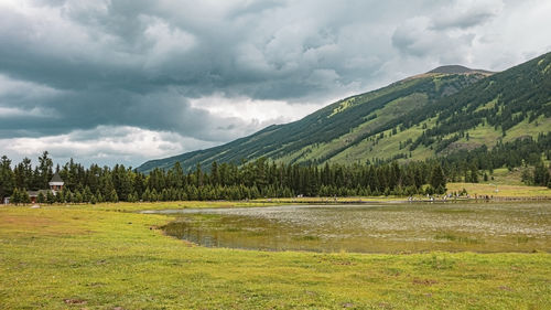 environment