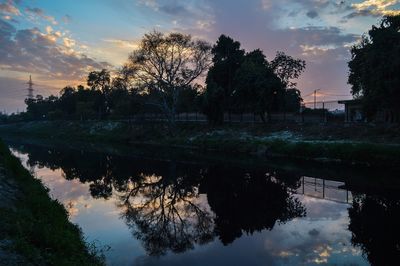 Reflection of trees in water