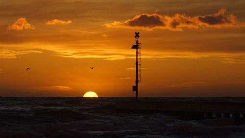 Silhouette bird by sea against orange sky